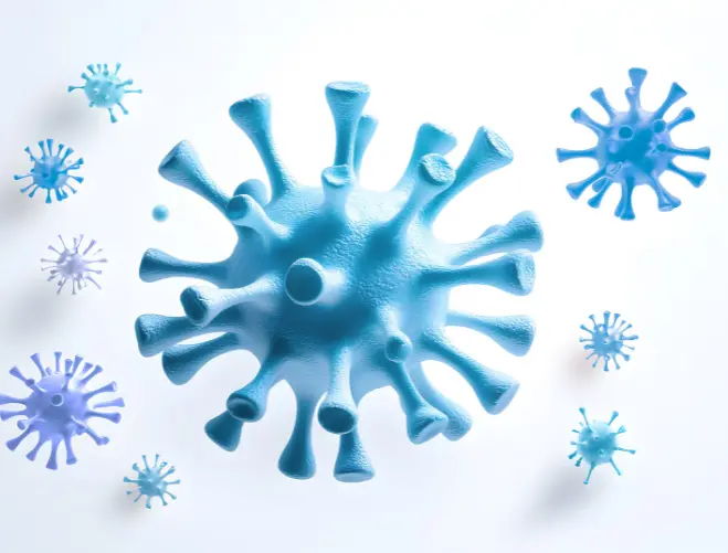 infection prevention awareness bacteria